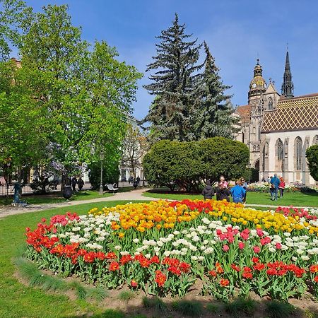 Lux 114 Apartment Кошице Экстерьер фото